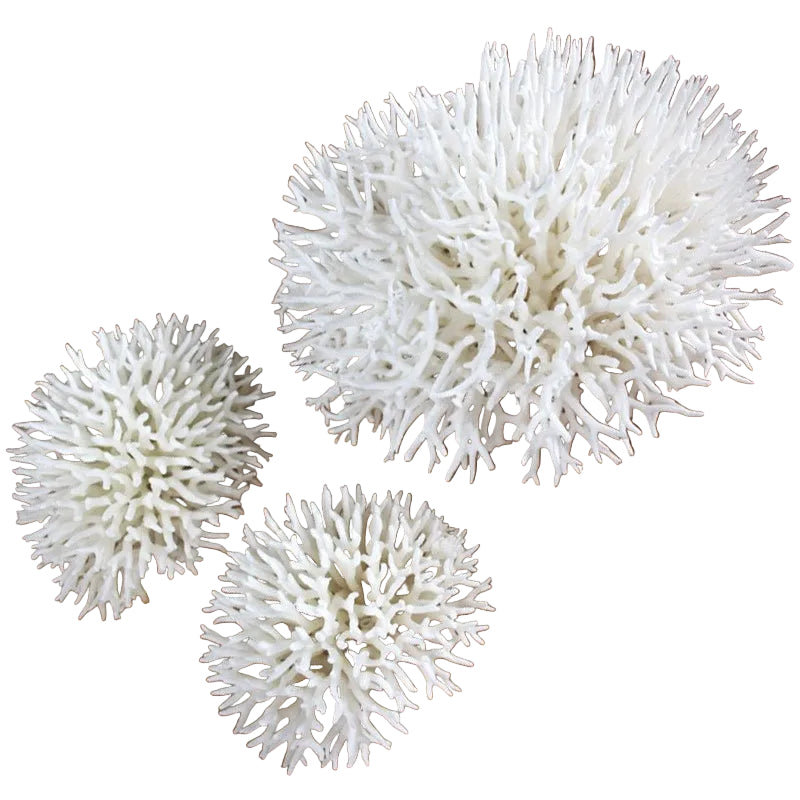 Coral Seriatopora 20cm