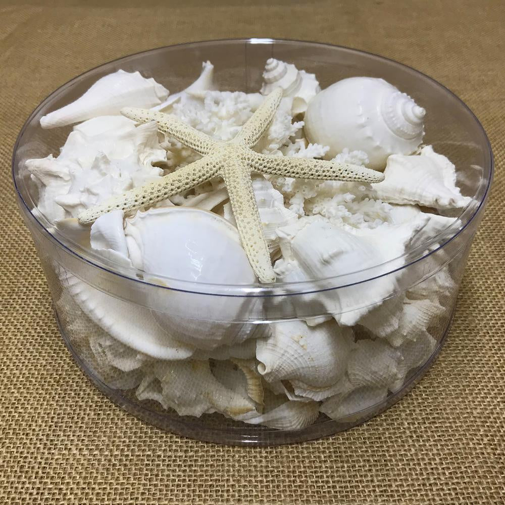 Coral Cylinder 200x100 Wht