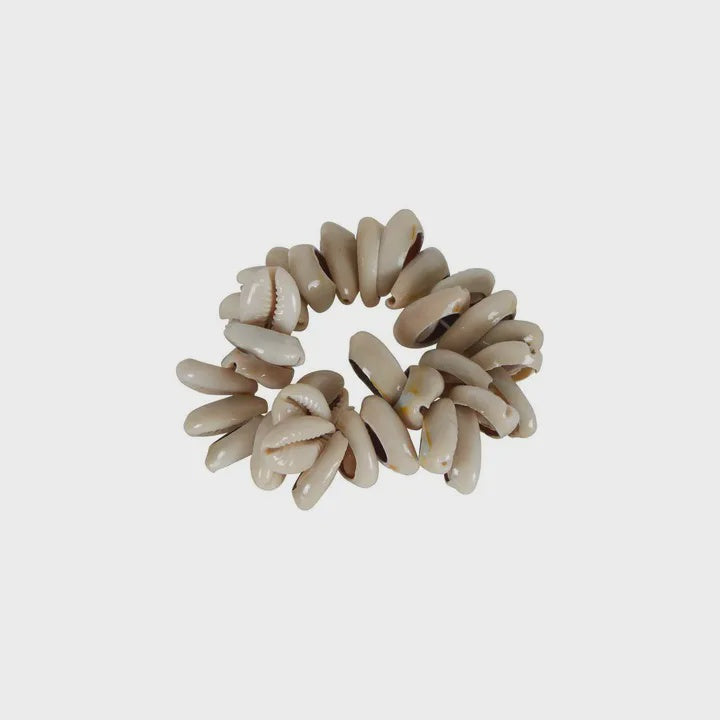Napkin Ring Shell Whitsunday