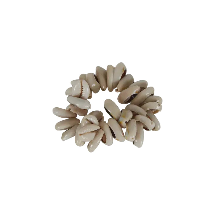 Napkin Ring Shell Whitsunday