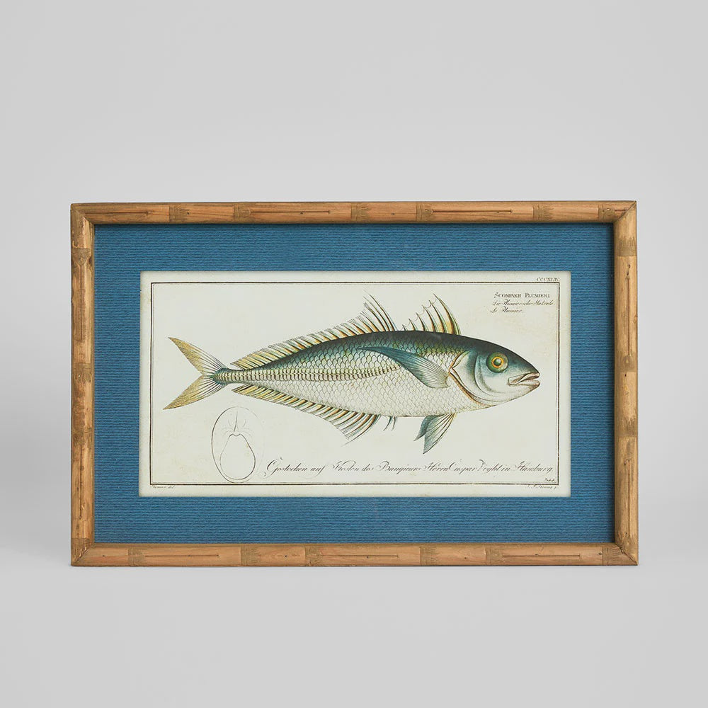 Wall Art Oceanic Study 1 60x32cm*