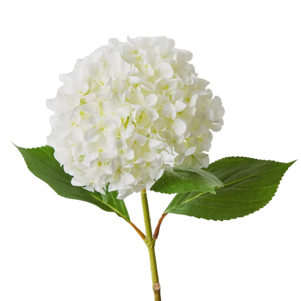 Hydrangea White 68cm