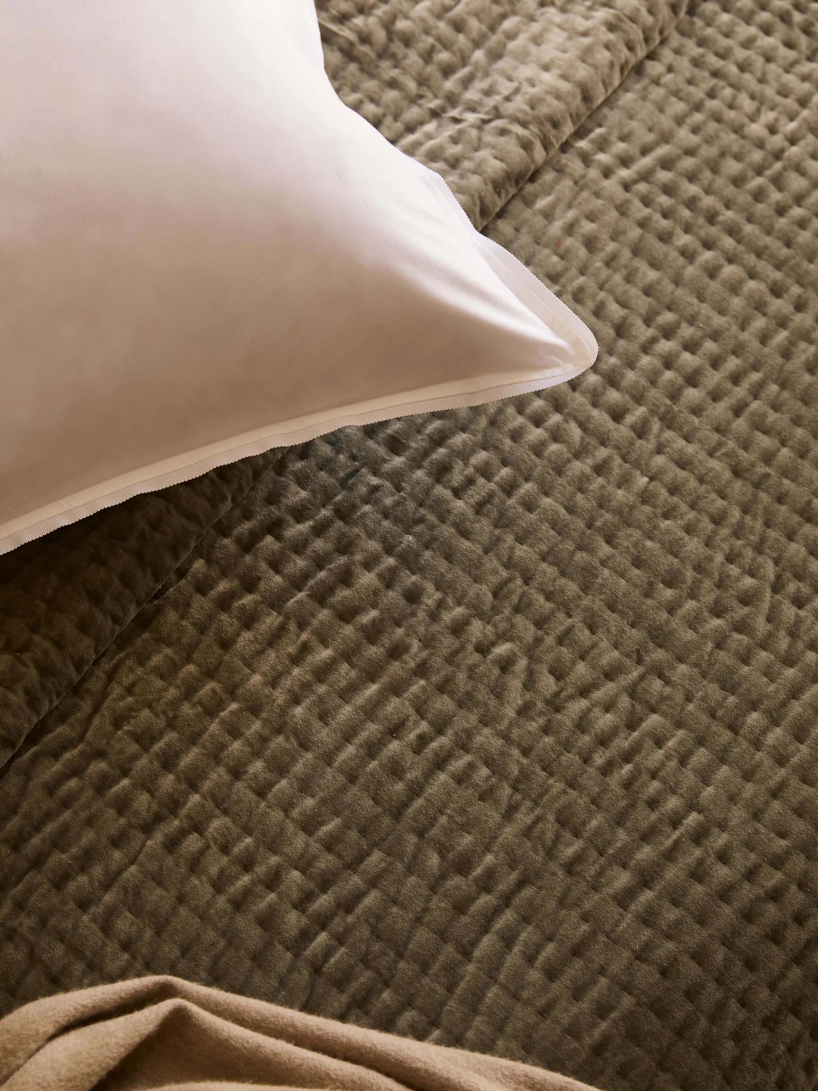 Quilt Cino Fern 220x240cm