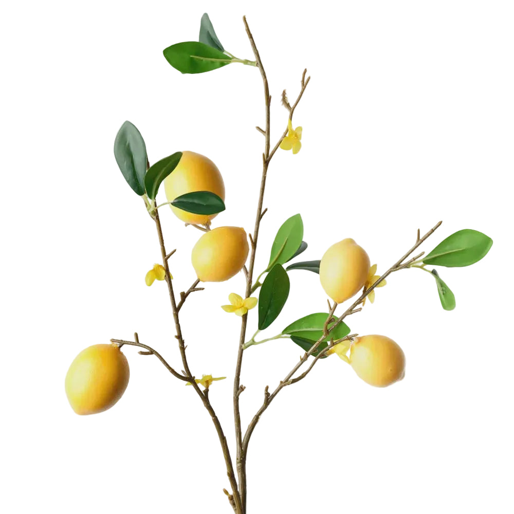 Spray Lemon 90cm