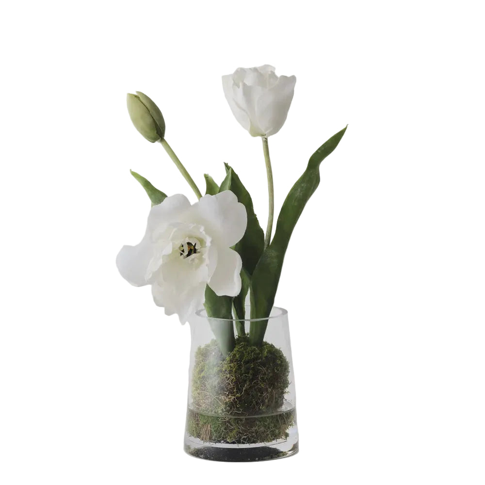 Tulip Hybrid Mix In Vase