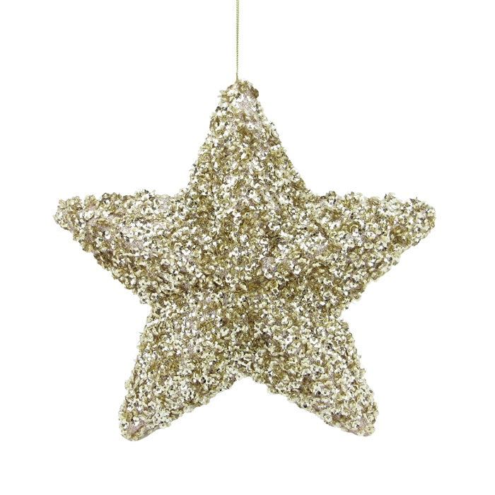 Star Beaded Sequin Five Point Chmp