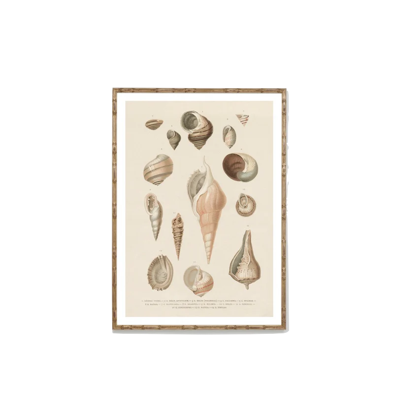 Print Coast Trinkets Natural 2 47x65cm