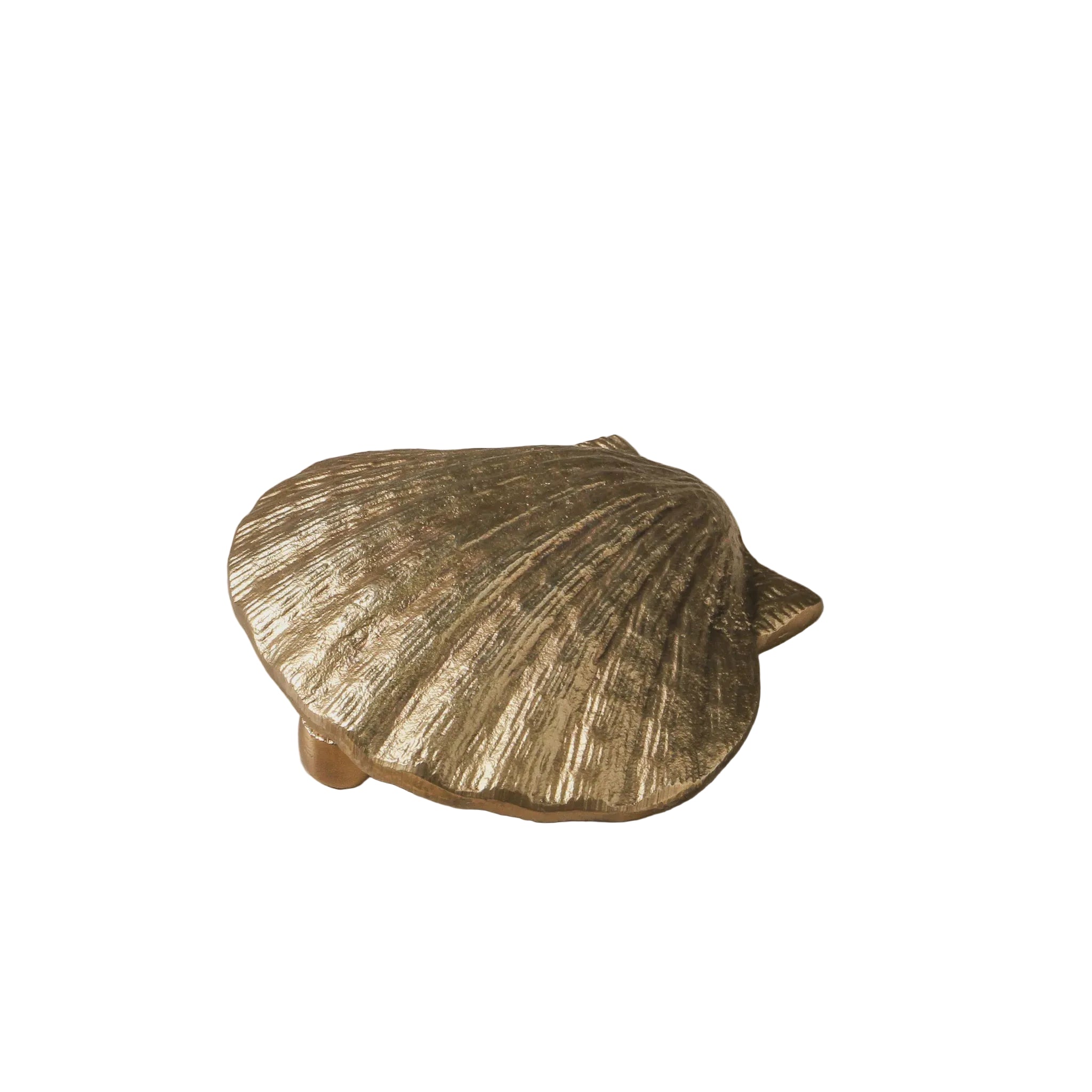 Door Knocker Beachcomber