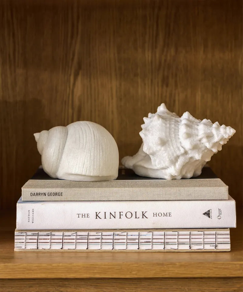 Shell Snail Decorative Light Up