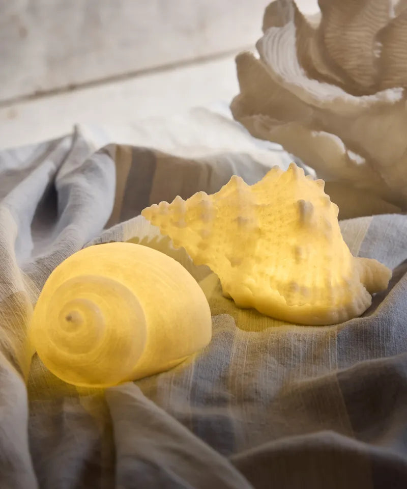 Shell Conch Decorative Light Up