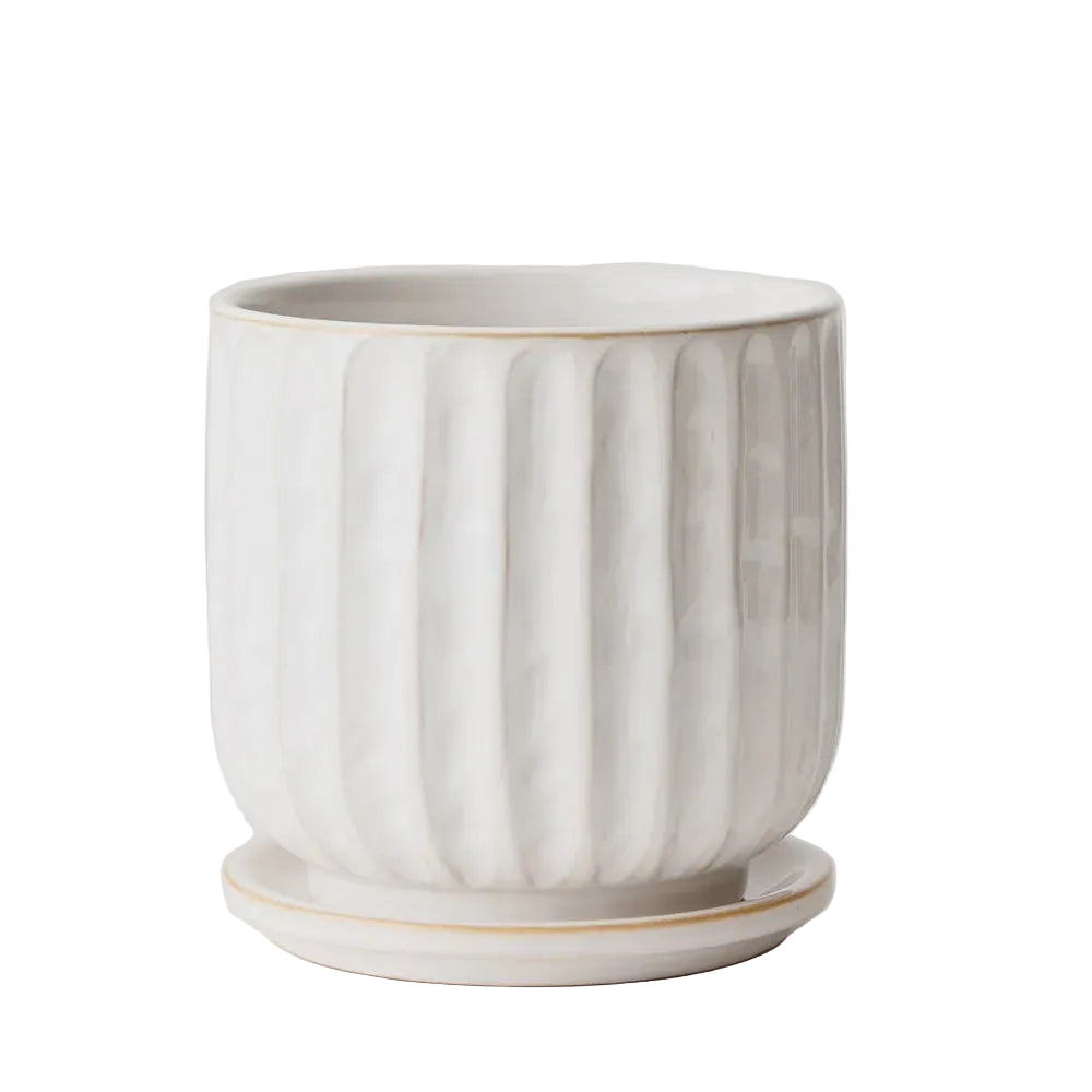 Pot Clovelly w/saucer 15cm