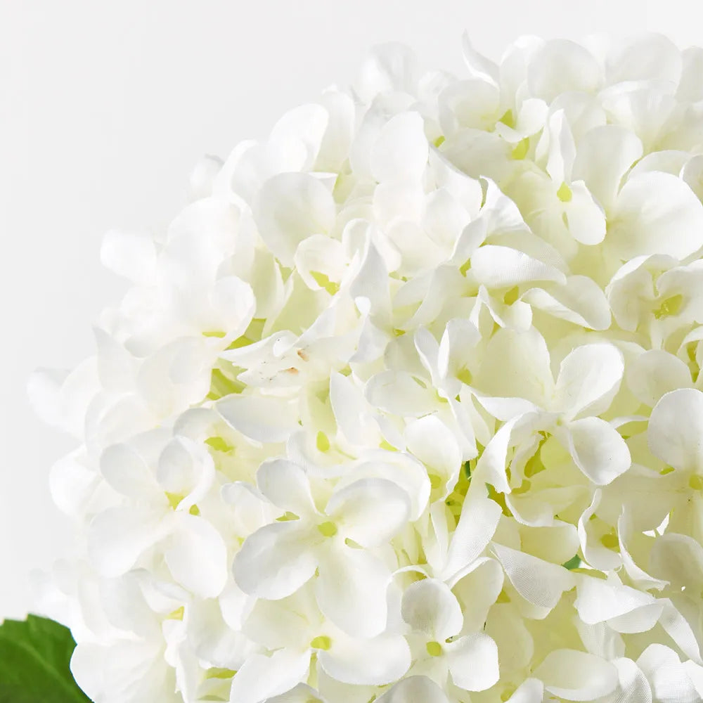 Hydrangea White 68cm