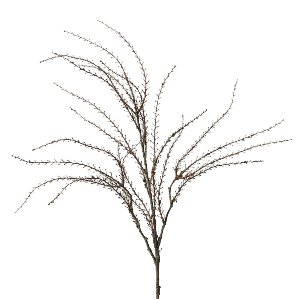 Twig Coral Spray Brown