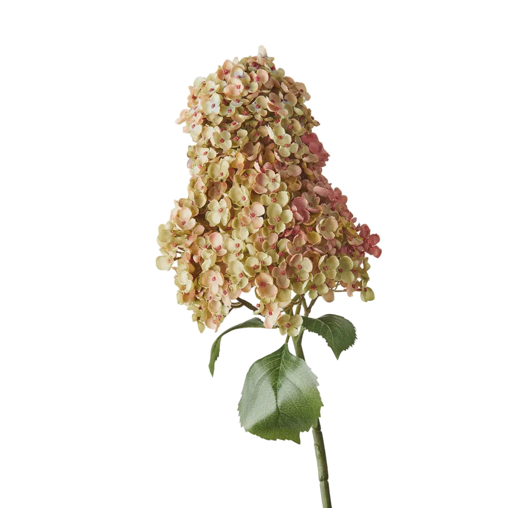 Hydrangea Cone Green Mauve 104cm