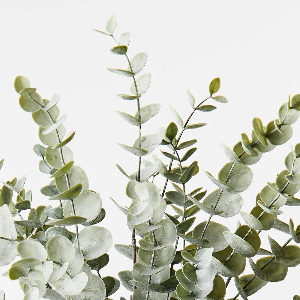 Eucaluptus Bush Green Grey 56cm