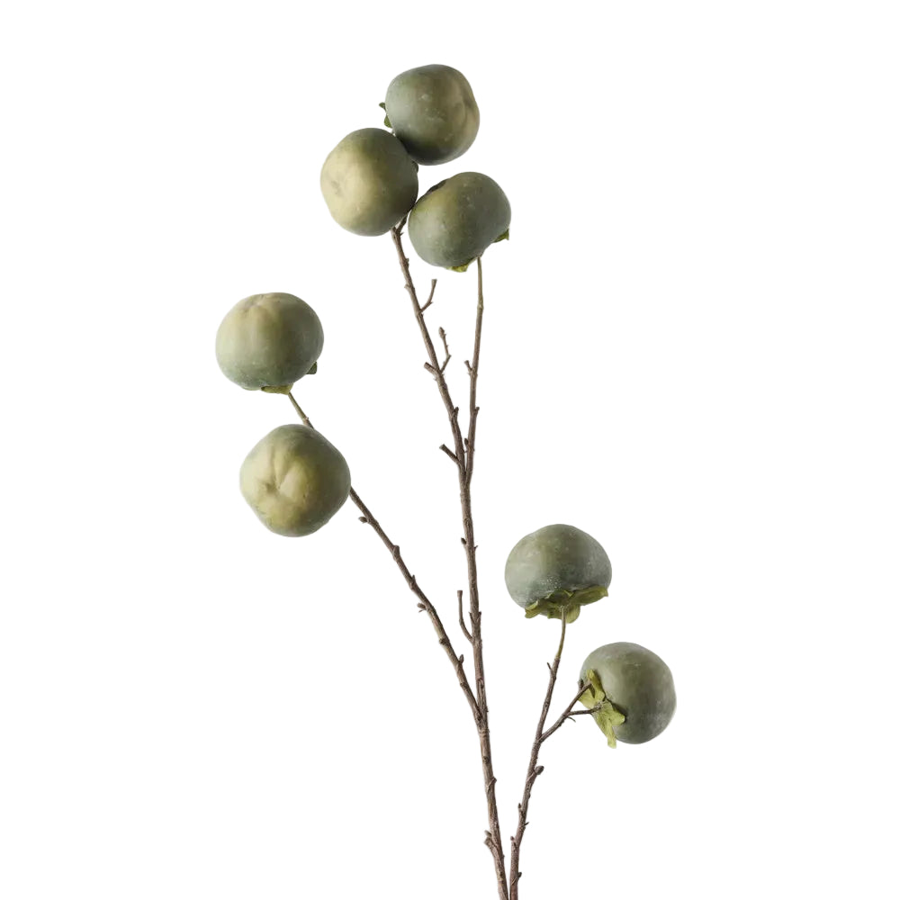 Persimmon Spray