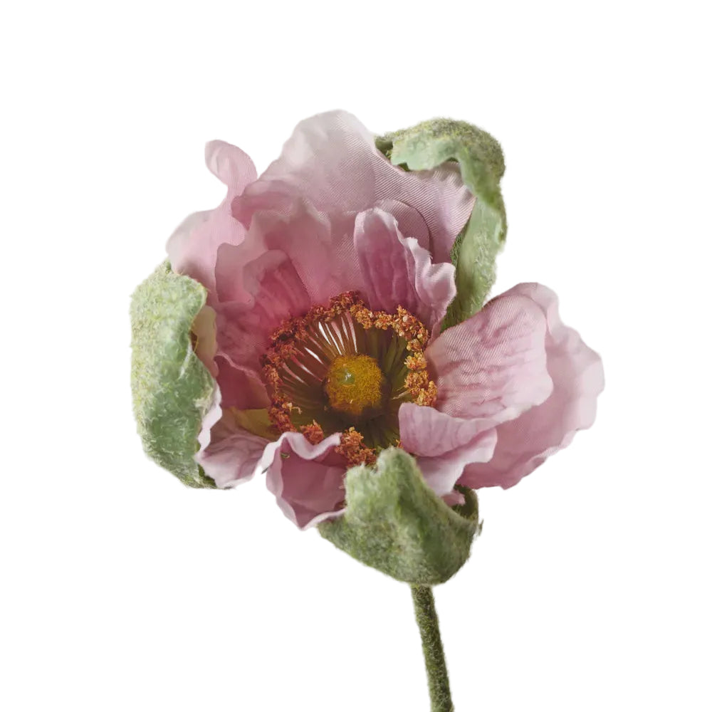 Poppy Bud Lavender
