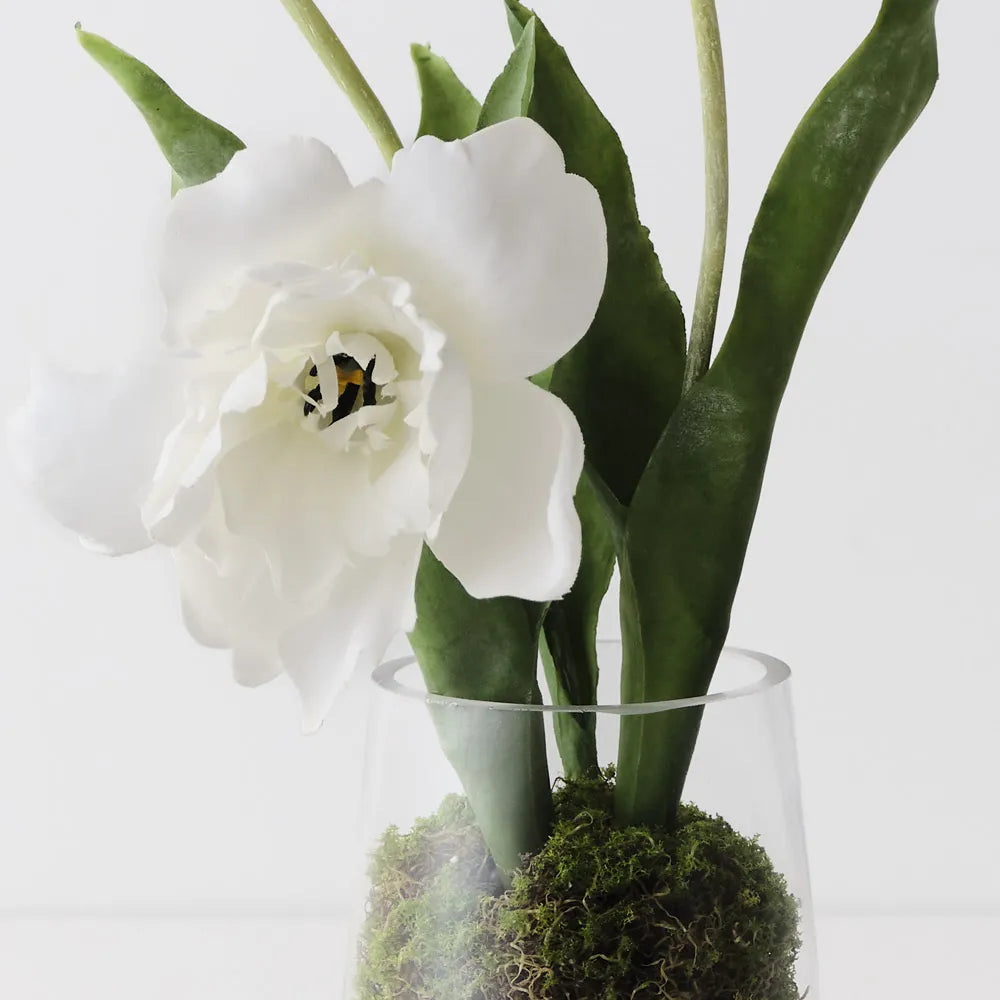 Tulip Hybrid Mix In Vase