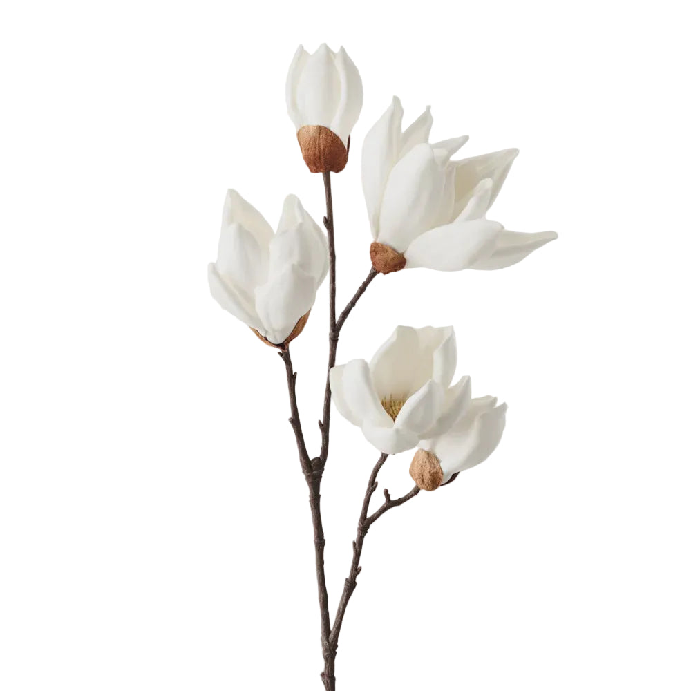 Japanese Magnolia Spray