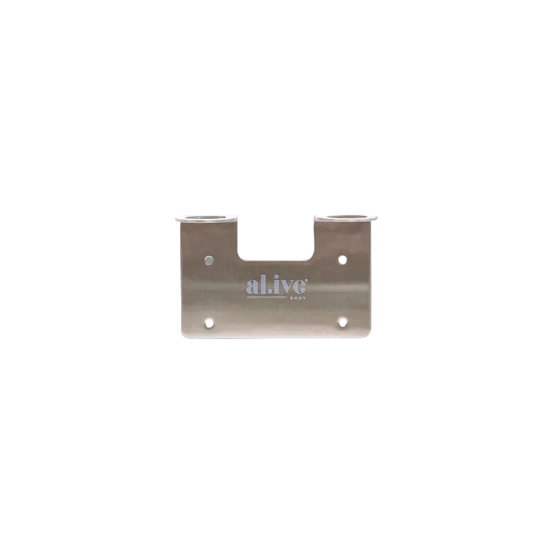 Double Wall Holder Brushed Nickel