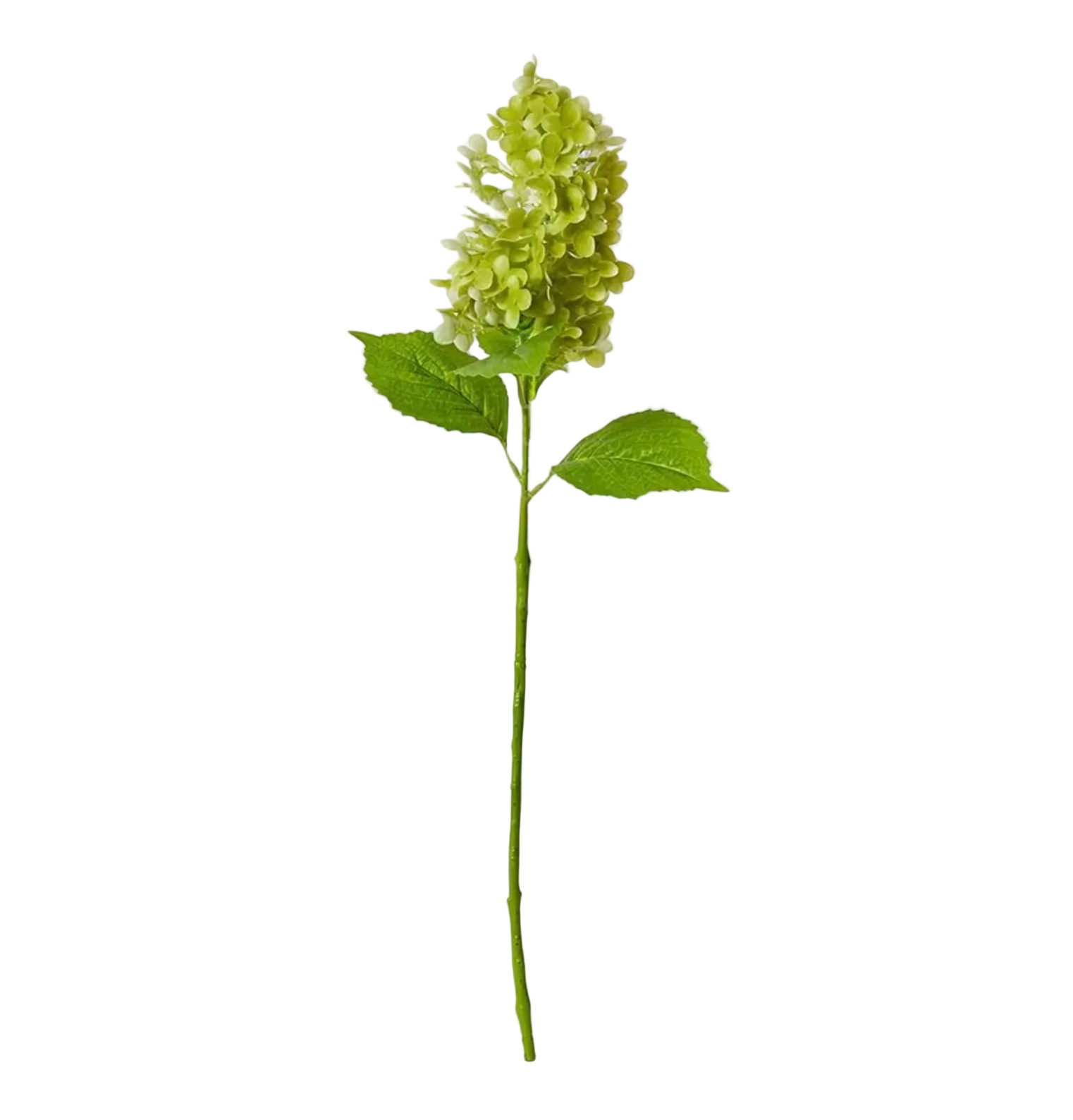 Hydrangea Cone Green 75cm