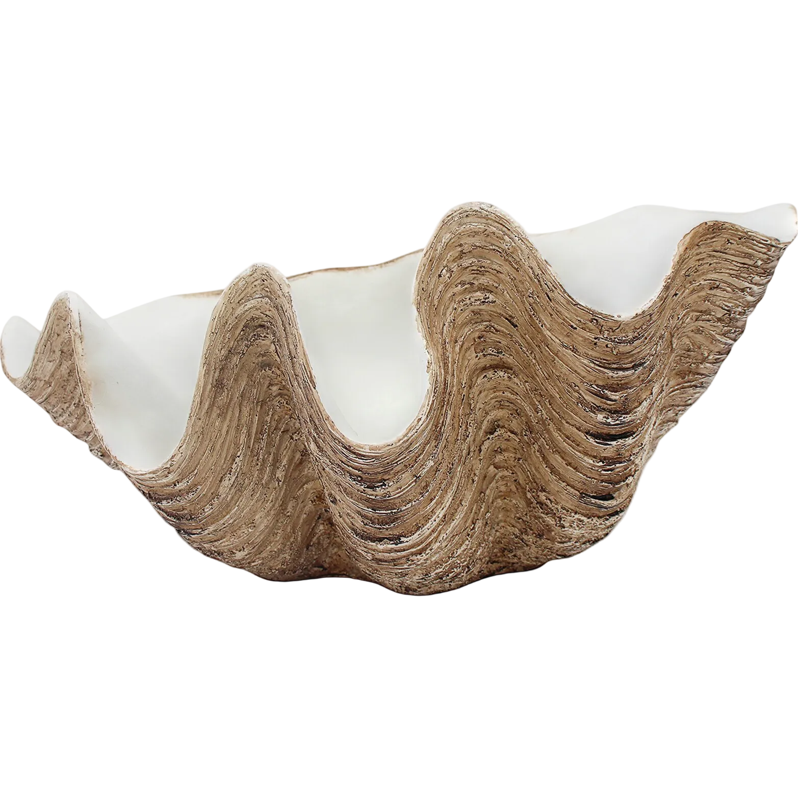 Clam Shell Lg