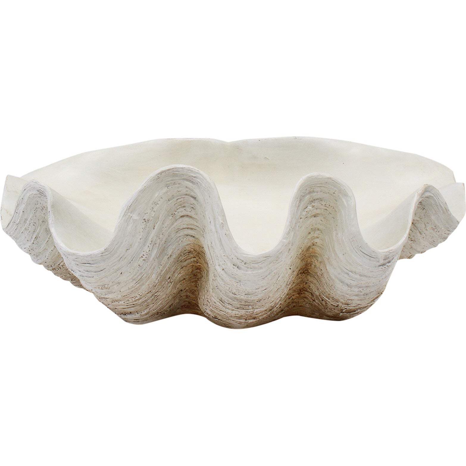 Clam Shell XL