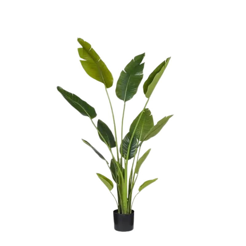 Palm Traveller Grn 125cm