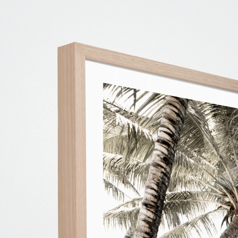 Print Peaceful Palms Raw 87x122