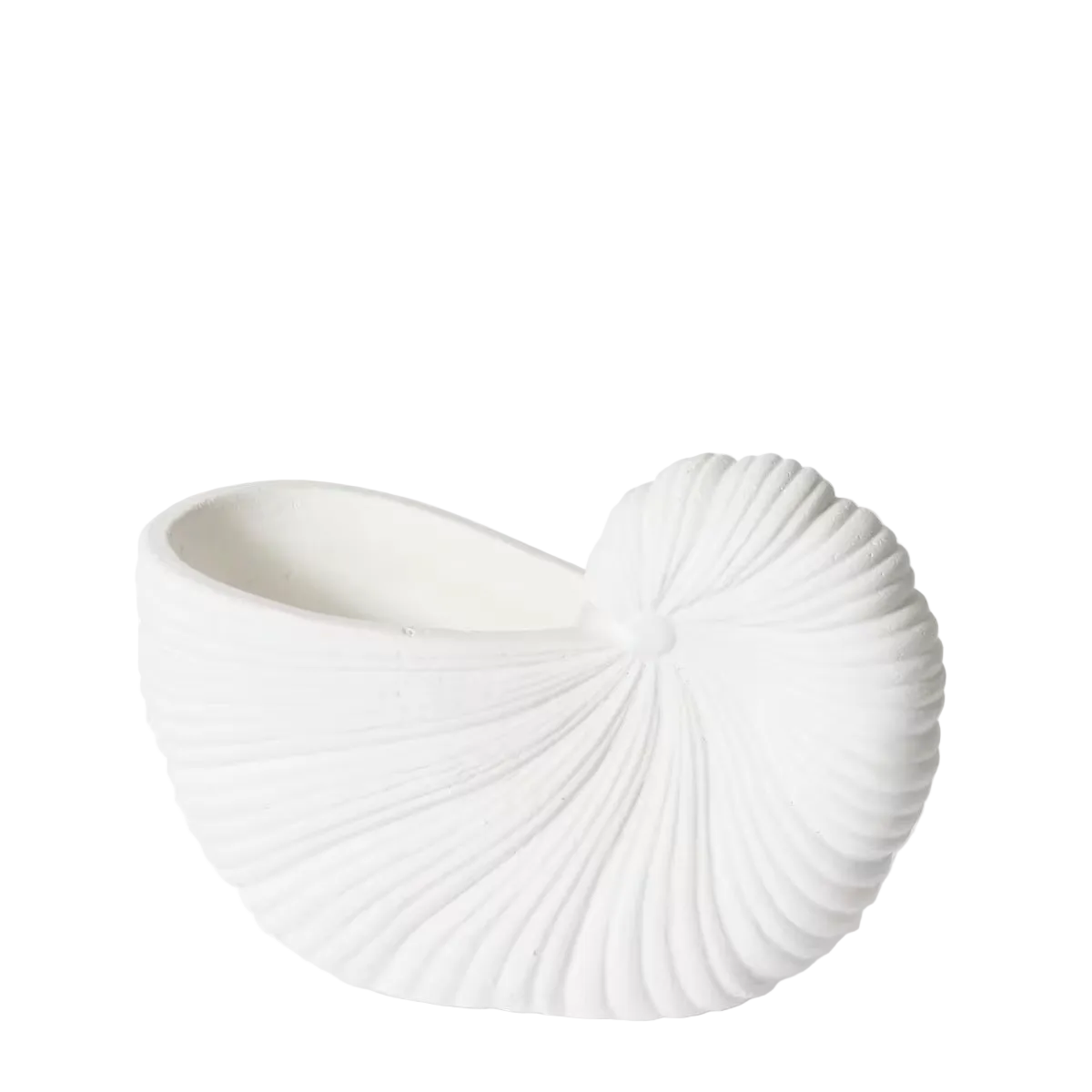 Pot Conch Shell Wht 15cm
