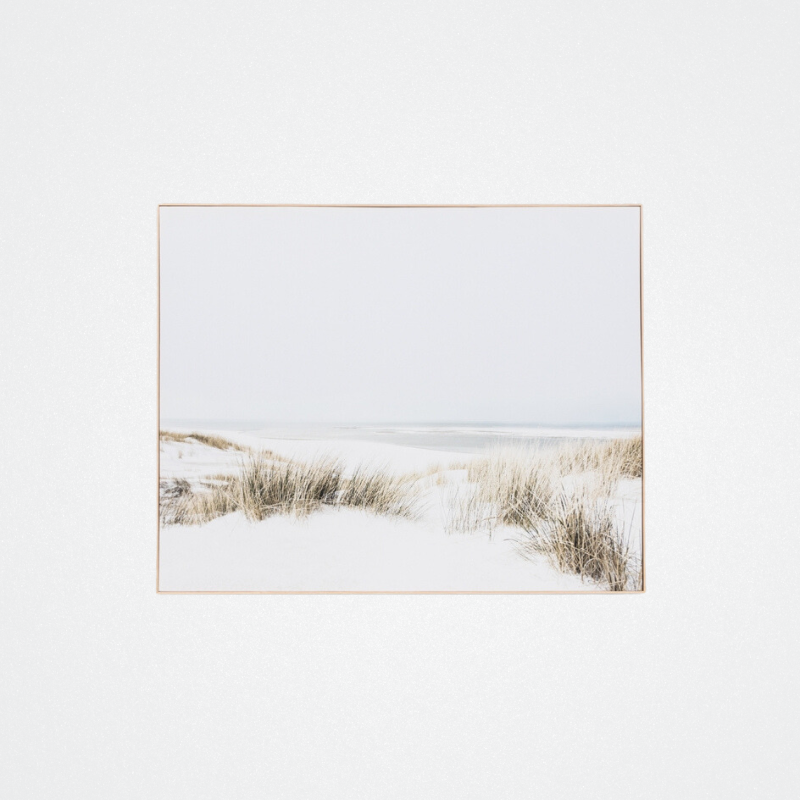 Canvas Sand Reed Dunes 150x120