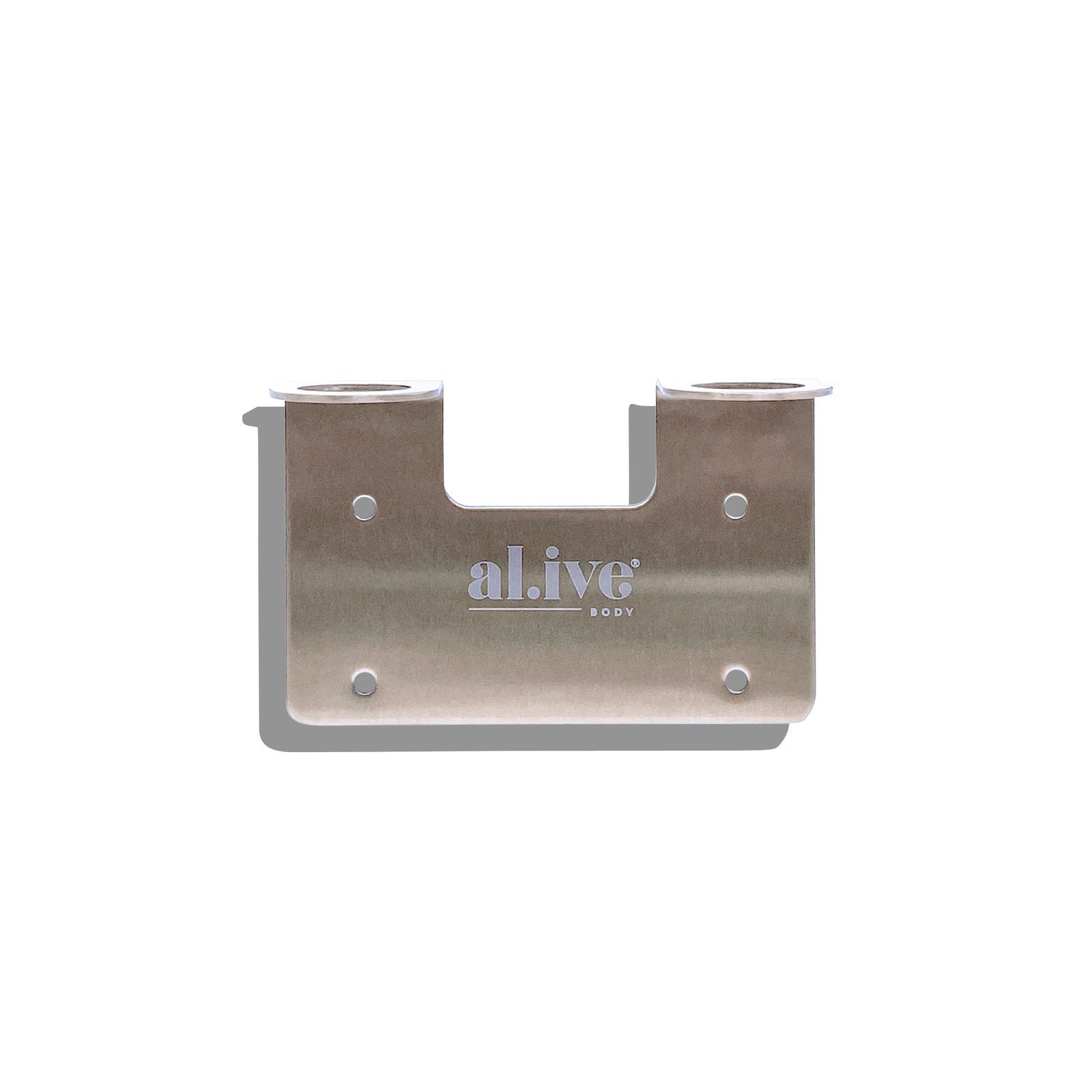 Double Wall Holder Brushed Nickel