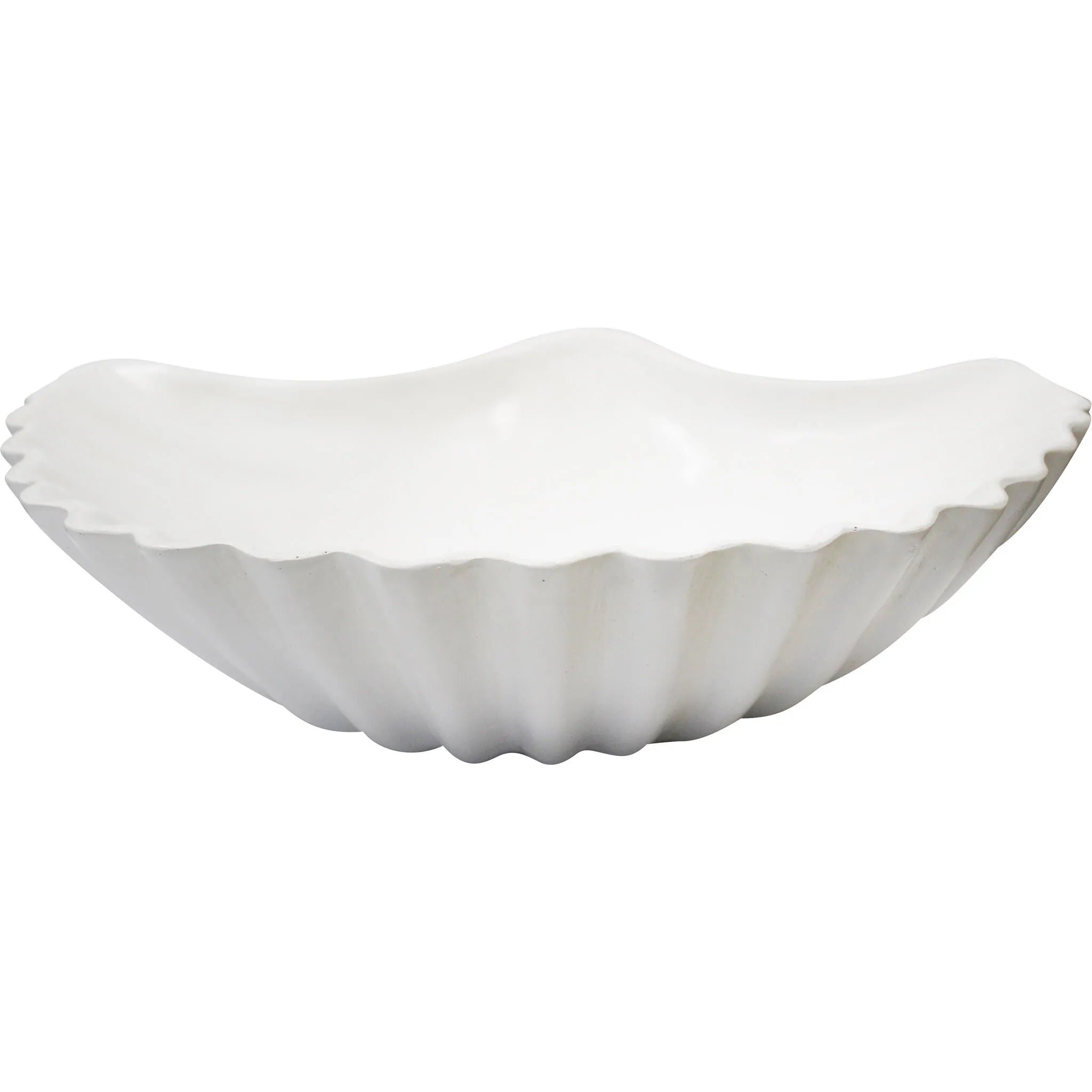 Shell Scallop Large