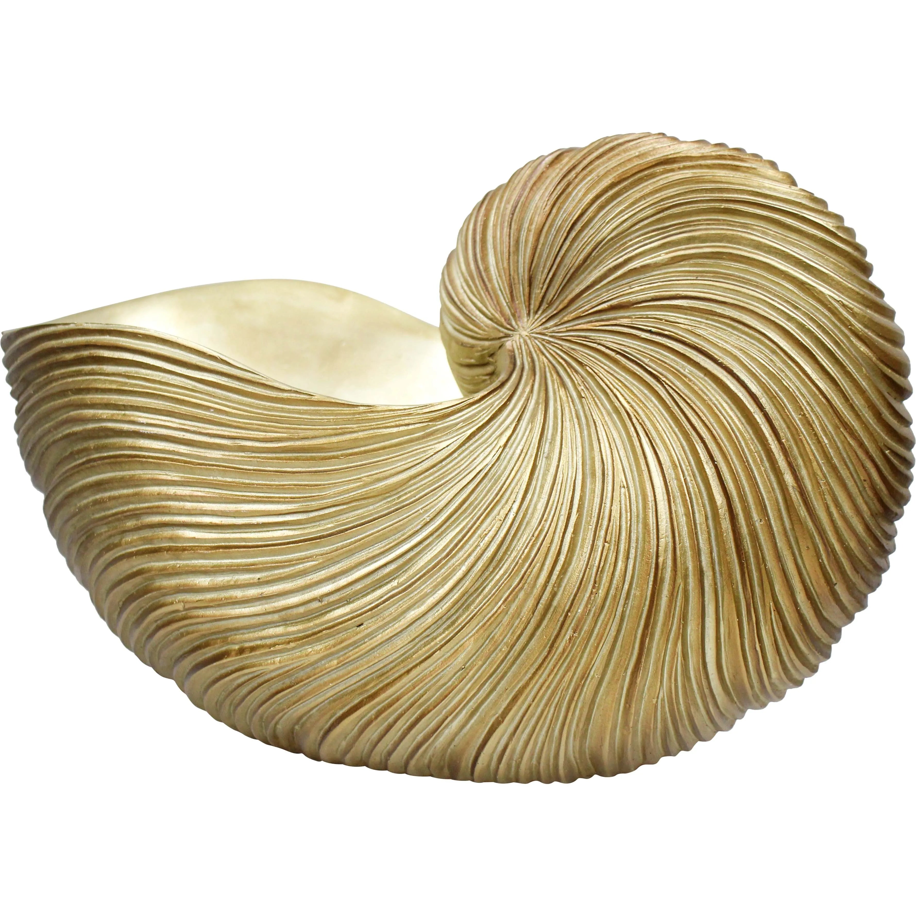 Shell Nautilus Gold XL