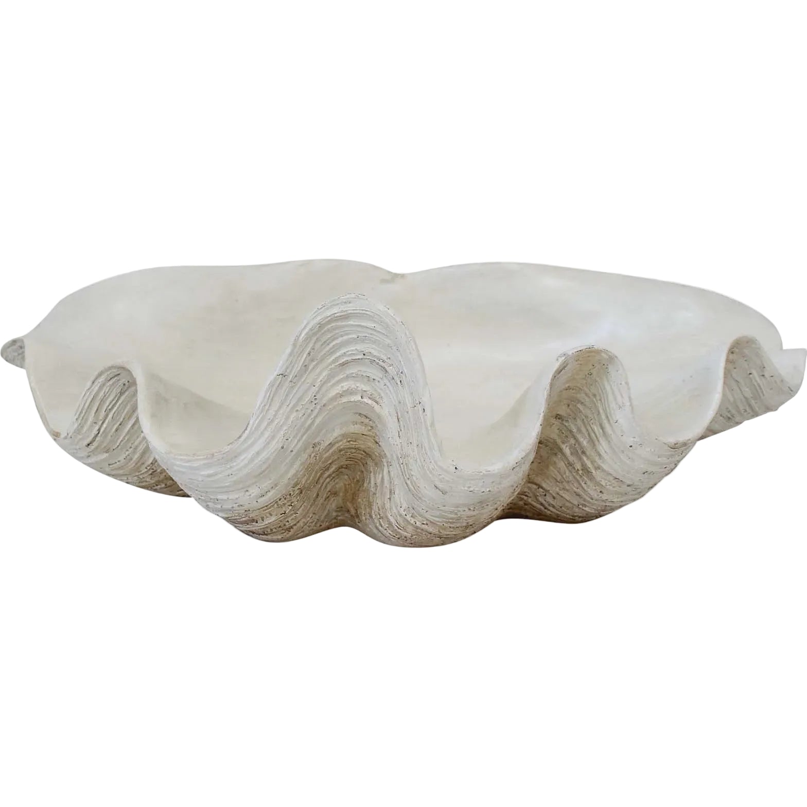 Clam Shell Wht