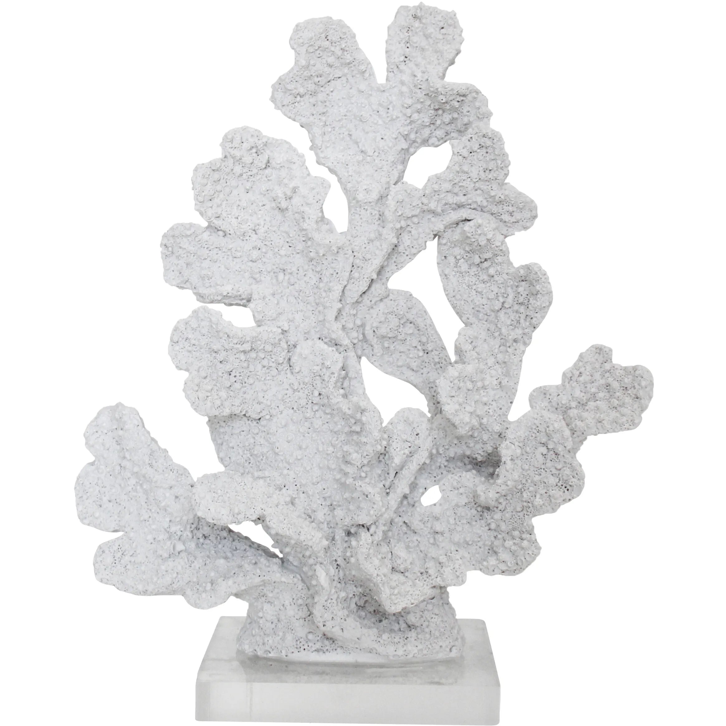 Coral Reef Wht