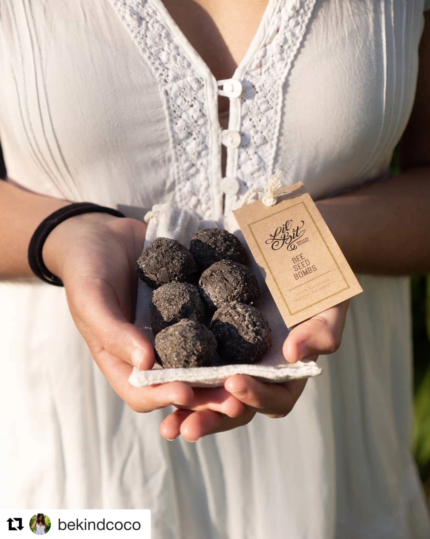 Insect Balls Bee & Beneficial Organic