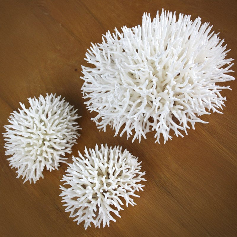 Coral Seriatopora 20cm