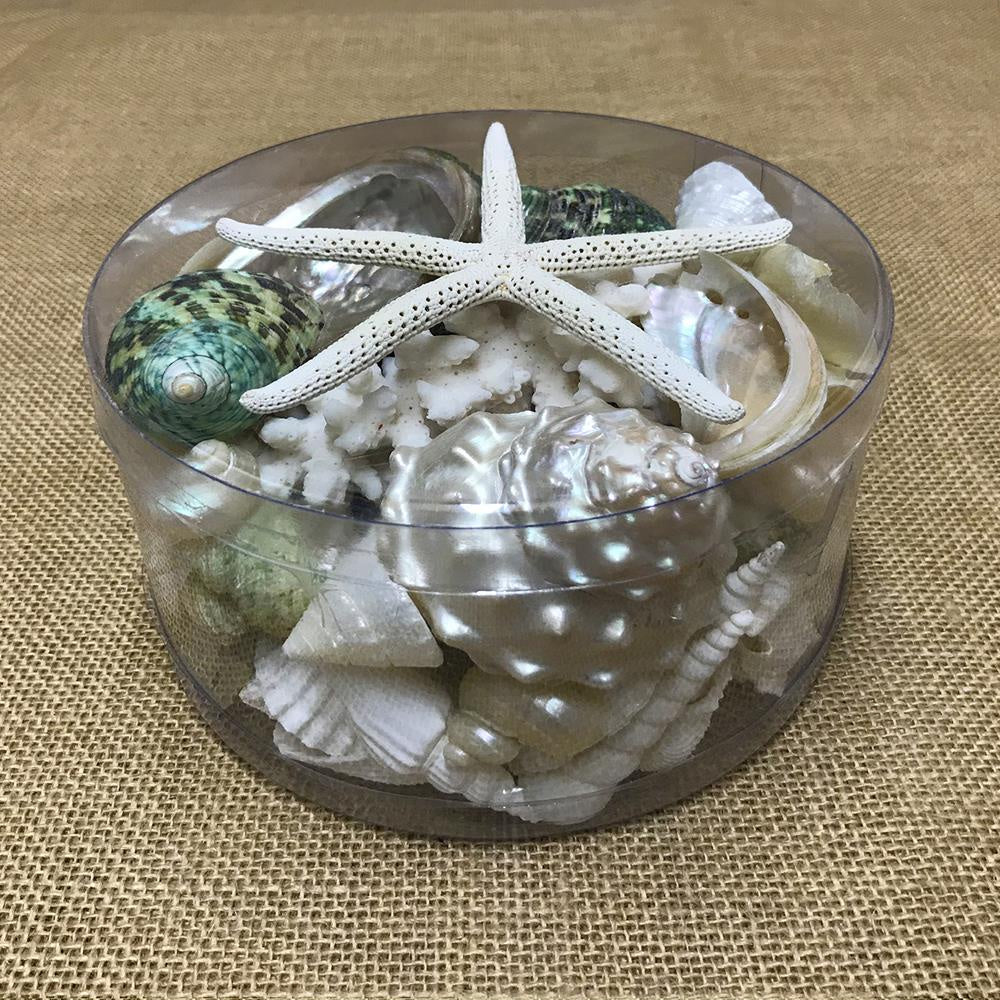 Coral Cylinder Green Pearl