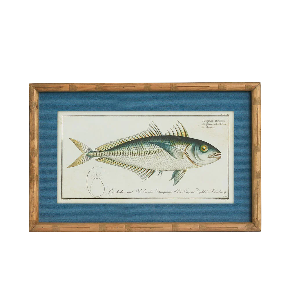 Wall Art Oceanic Study 1 60x32cm*