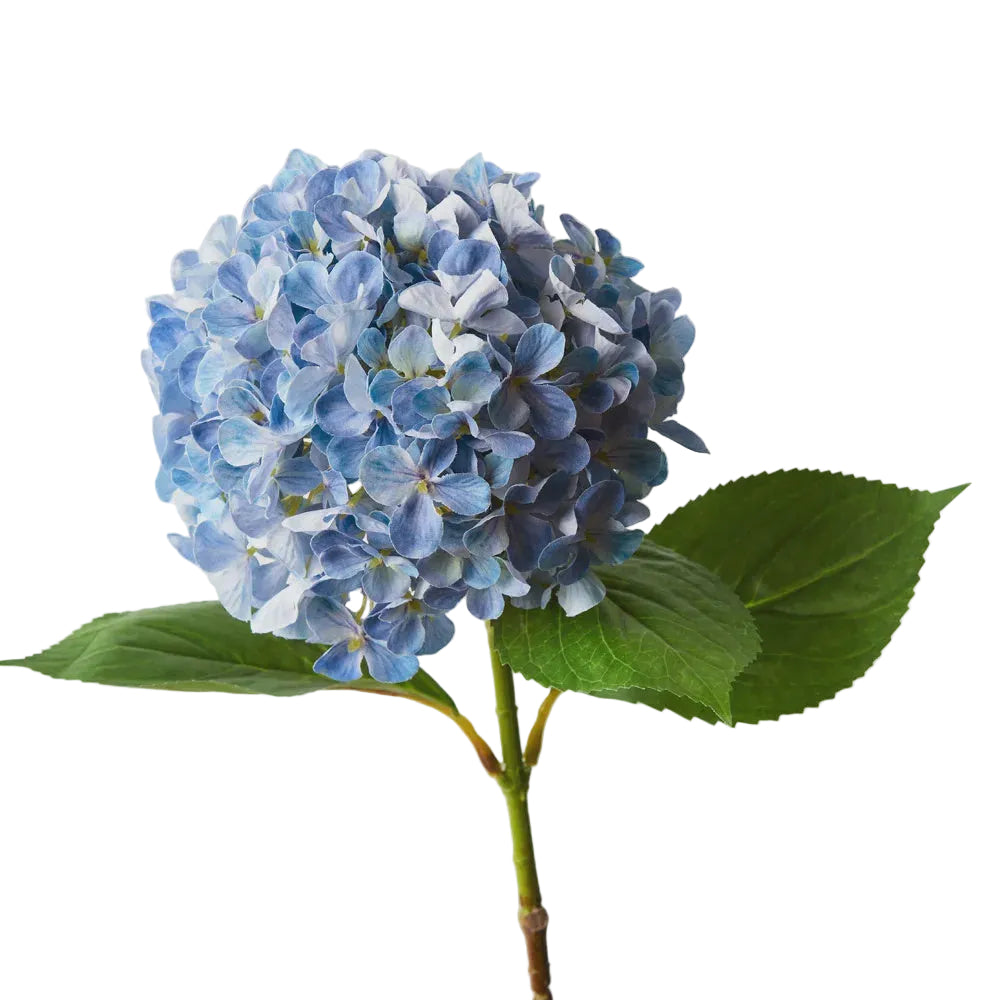 Hydrangea Blue 68cm