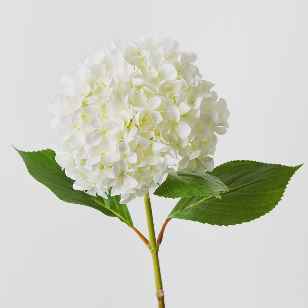 Hydrangea White 68cm