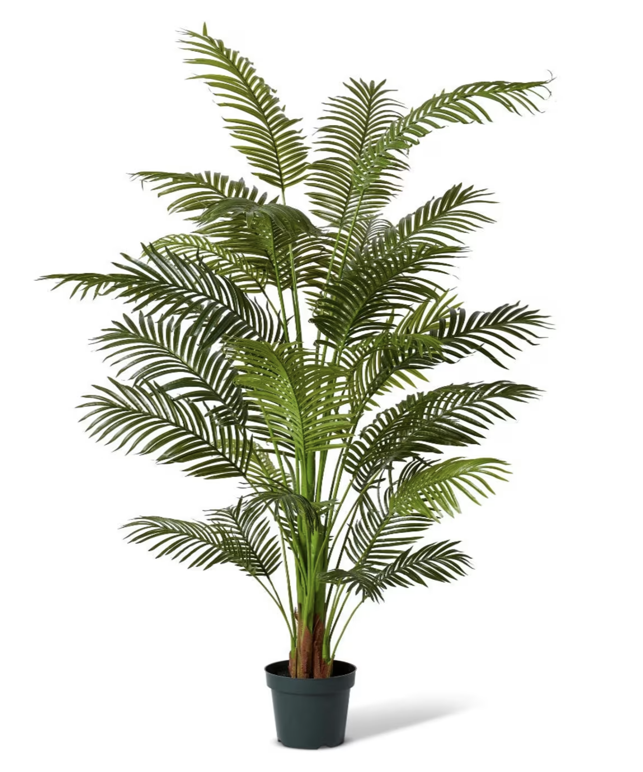 Palm Areca Green 213cm
