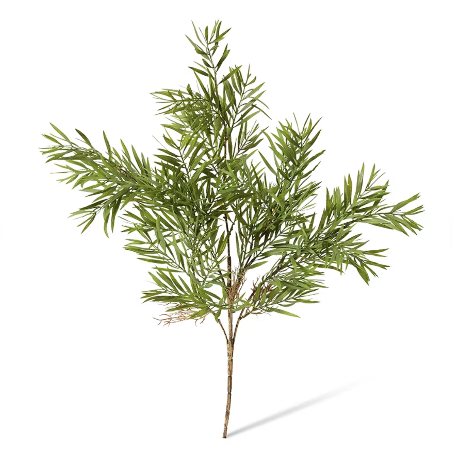 Bush Grevillia Green 60cm