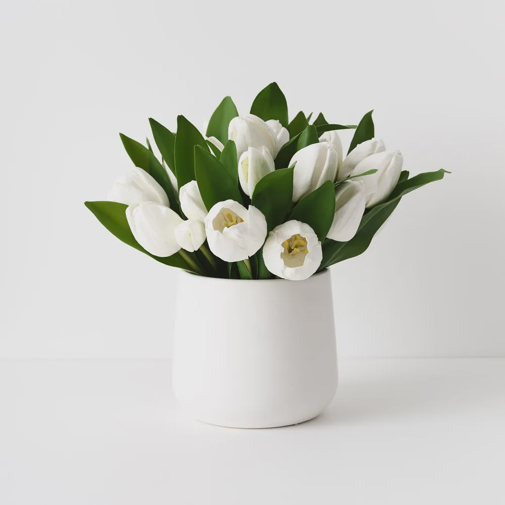 Tulip Mix In Pot White 28cm