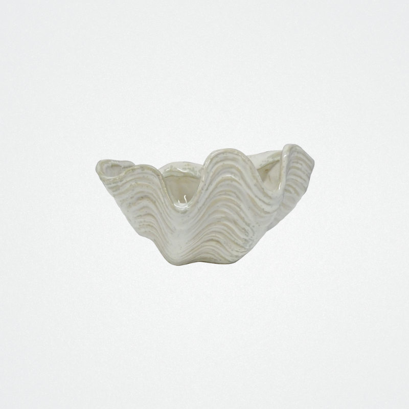 Clam Shell White 17cm