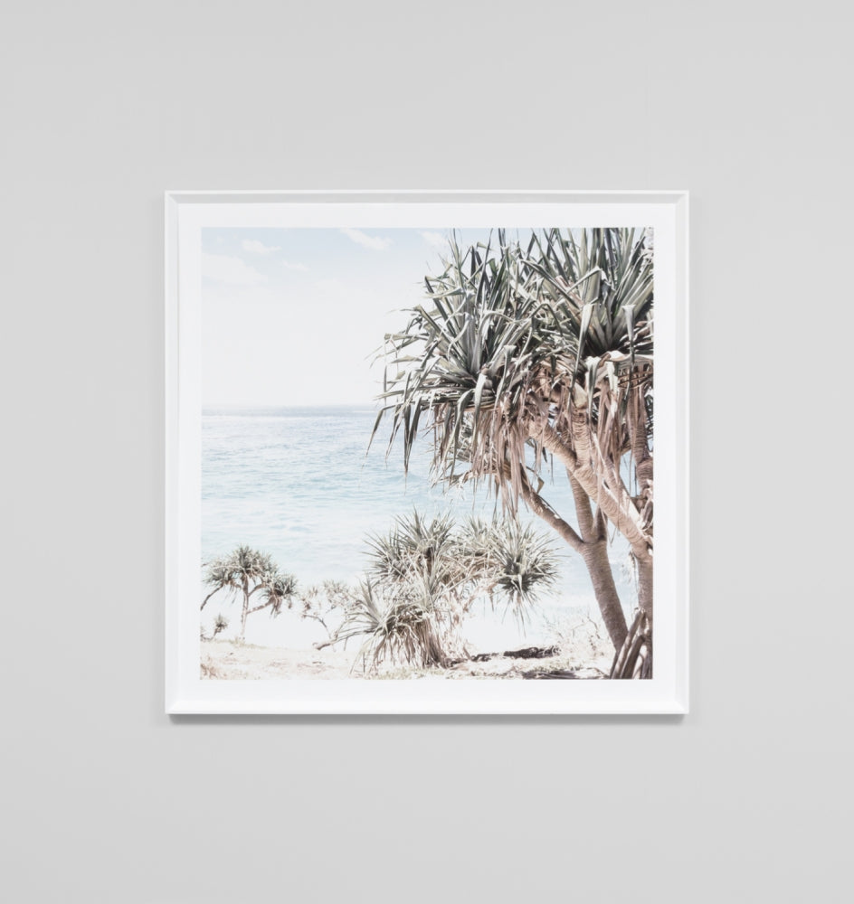 Print Coastal Palms 115 x 115