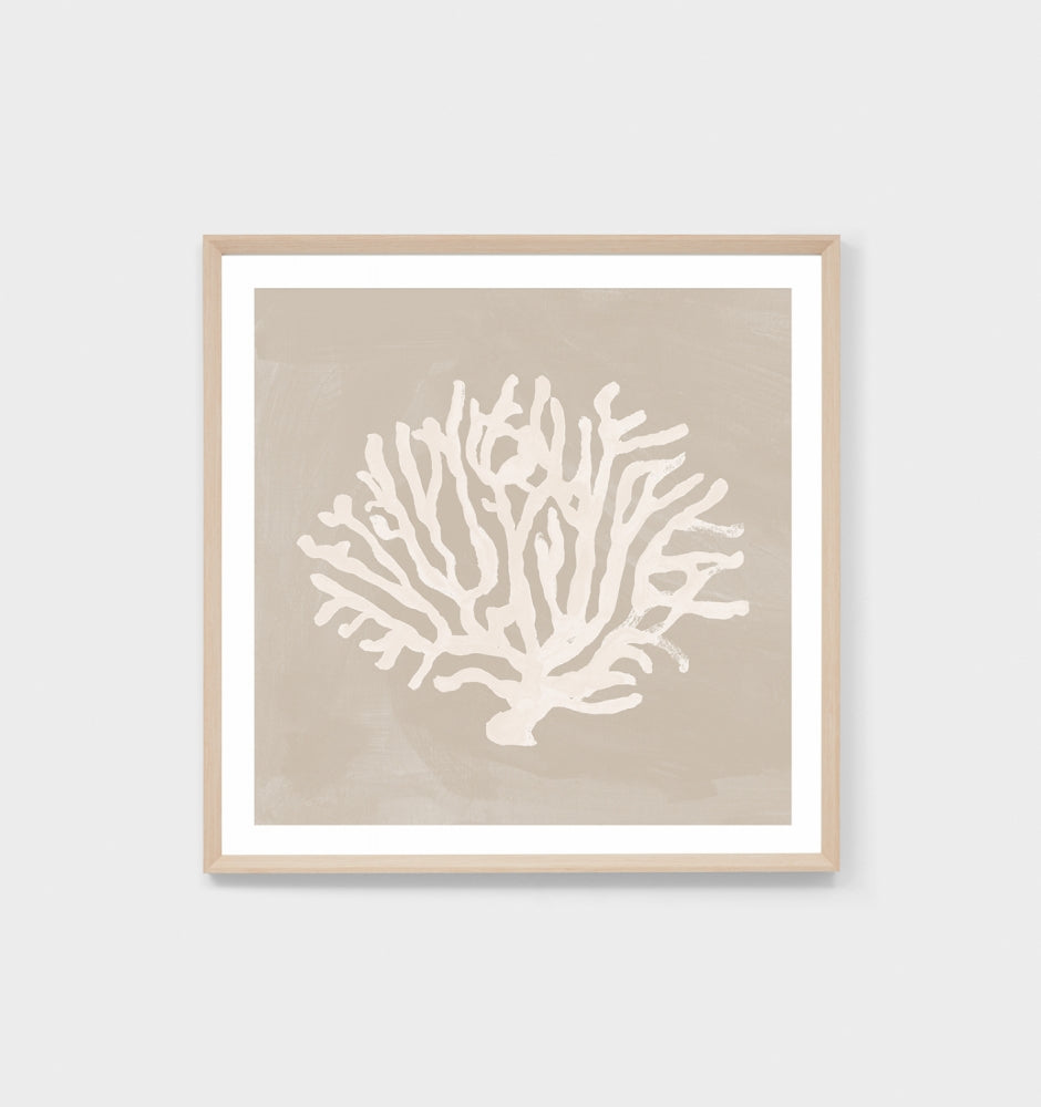 Print Coral Study Sand 2 84x84