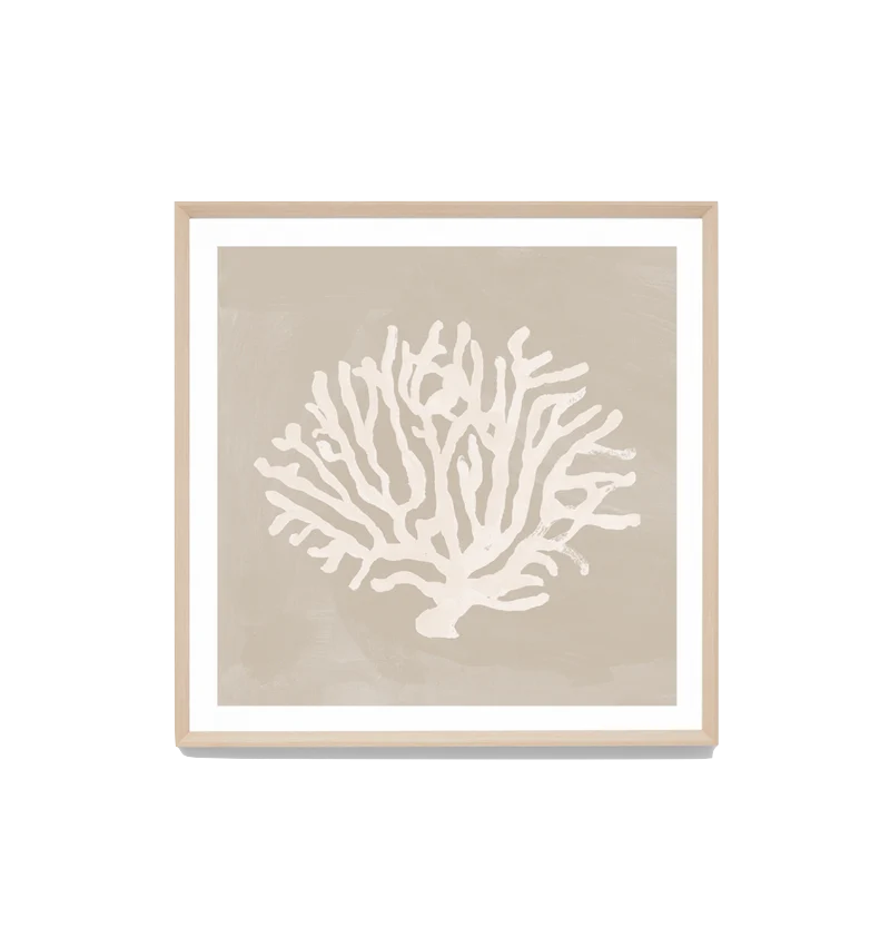 Print Coral Study Sand 2 84x84