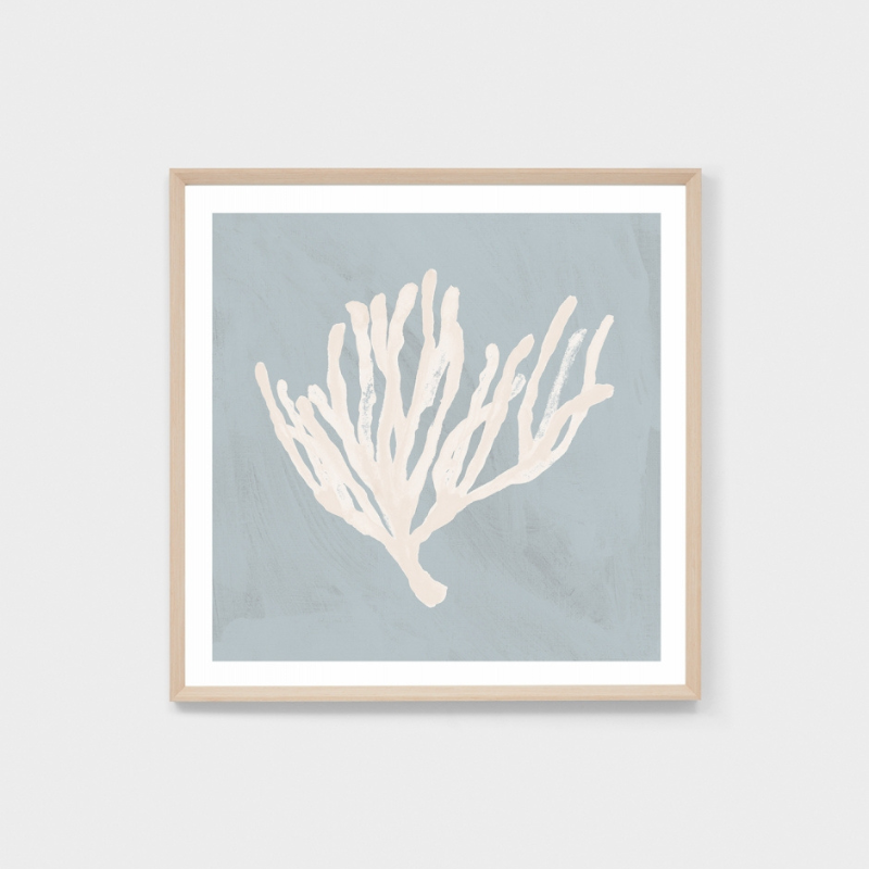 Print Coral Study Blue1 Raw 84x84